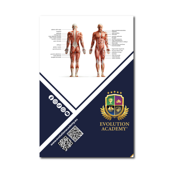 LIBRO ANATOMIA E MASSAGGIO SPORTIVO